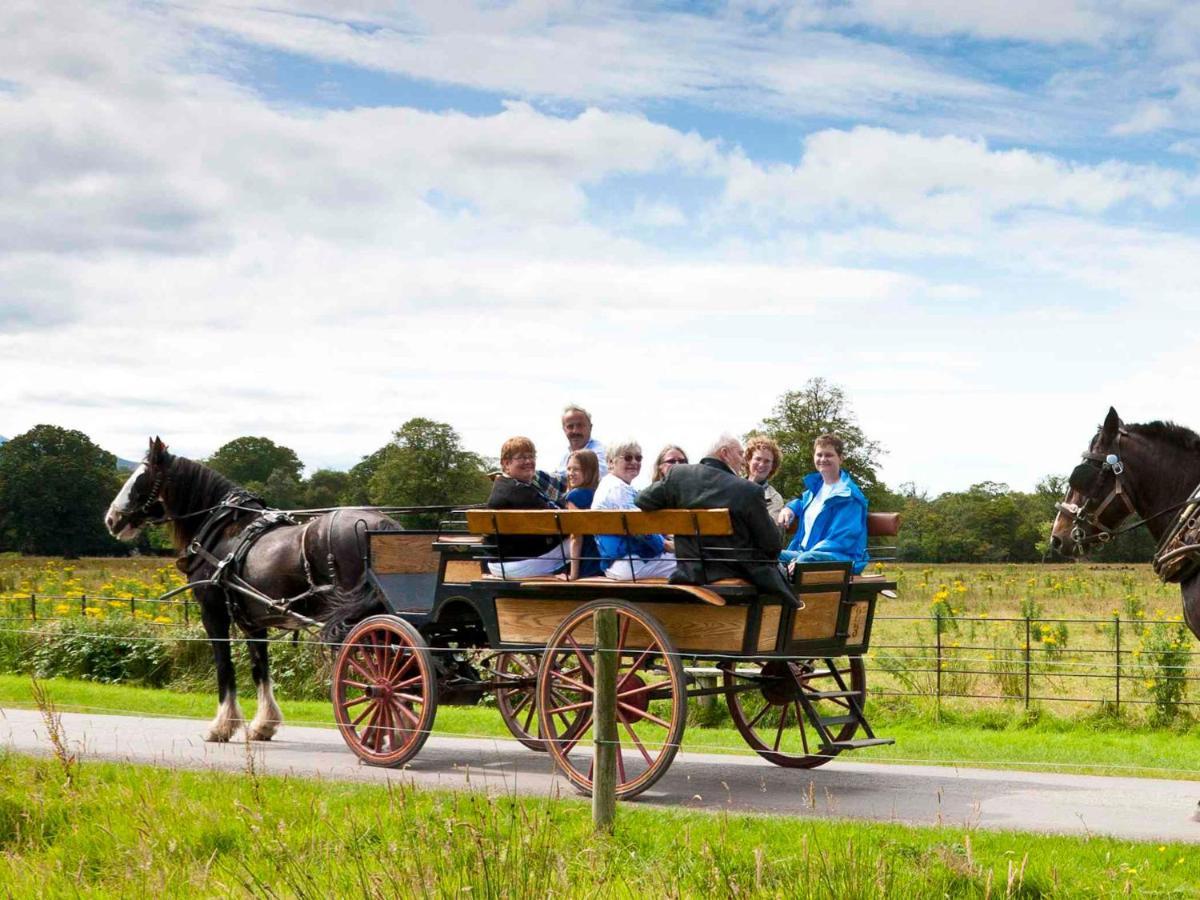 Madams Hill House Killarney By Trident Holiday Homes Zewnętrze zdjęcie